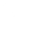 boomi-1